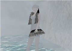 Seacliff fog_001