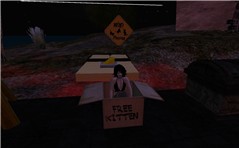Le Cimetiere 162,233,65_001