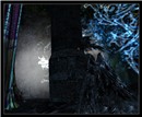 Relic in WL