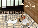 1st nap at new home