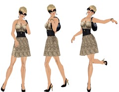 summerdresschic_003 copy