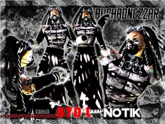 NDN - Notik