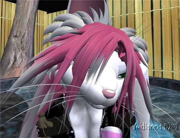 Cabbit011