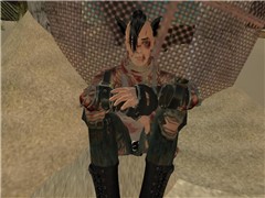 The Wastelands
