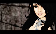 Snapshot_066
