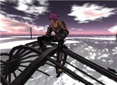 hamachin-Illios_022
