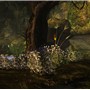 Timelss-Forest-2