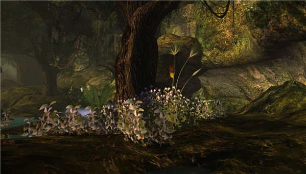 Timelss-Forest-2