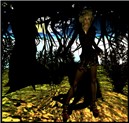 Ridinghood5