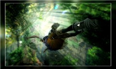 fly