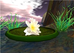 svarga-flower_003