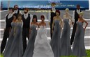 MZZ WEDDING PARTY