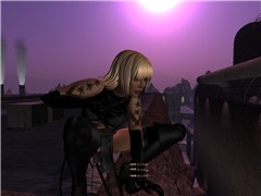 Under a purple Sun