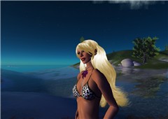 20080430 Cerulean_009