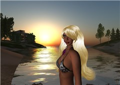 20080430 Cerulean_006