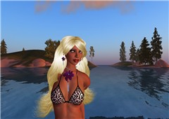 20080430 Cerulean_004