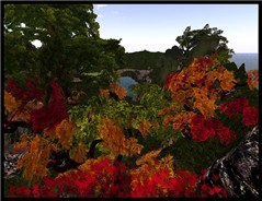 Straylight Colors