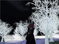 Forgotten_Capital