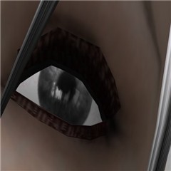 WindowEye