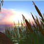 windlight Entry 2