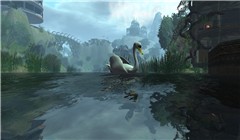 SwanatShengrila