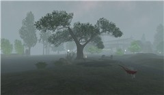 FoggydayattheBluffs