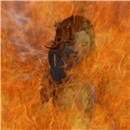Enalienflamed3