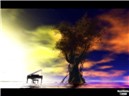 Surreal Serenade @ Chouchou