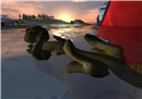 sea otter