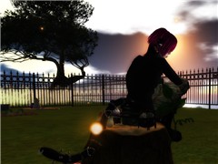 PSYCHOMMUNITY2