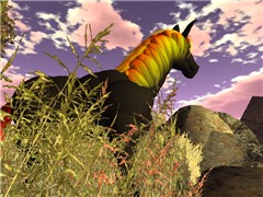 the pony