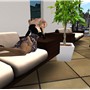 Snapshot_003