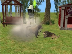 Dog Fight