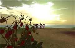 twilight