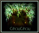 chouchou
