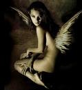 angel