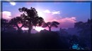WL-koinup_006