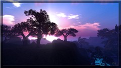 WL-koinup_006