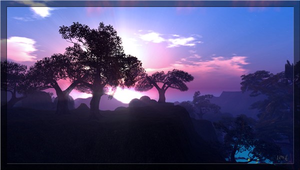 WL-koinup_006