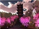GION Project is showplace of cherry blossoms　