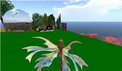 ali_003