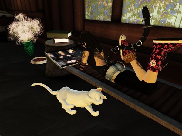 Sleep_Taison