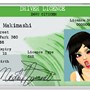 My driver's licence