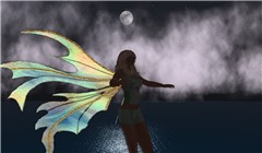 ali_035