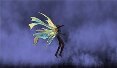 ali_029