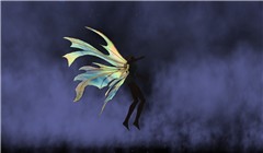 ali_028