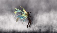 ali_027
