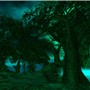Enchanted Forest