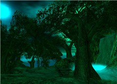 Enchanted Forest