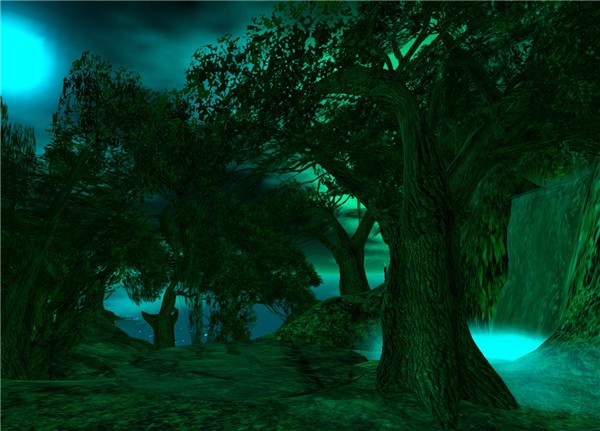 Enchanted Forest